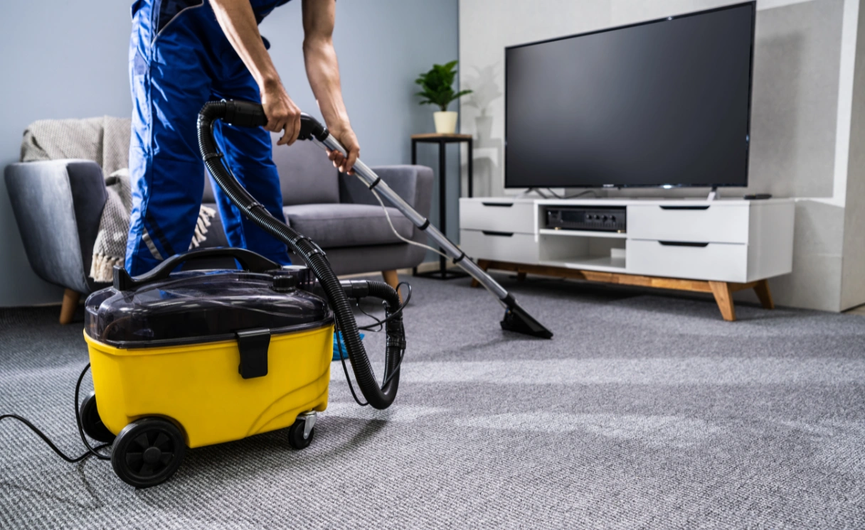 Extract Curtain Cleaning Wandana Heights Contact Office